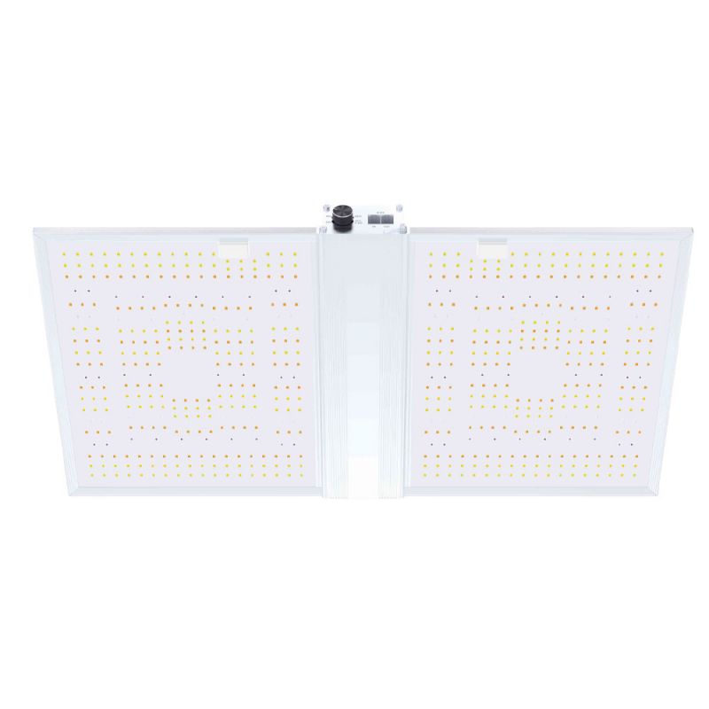 LED BOARD QUANTUM 320W