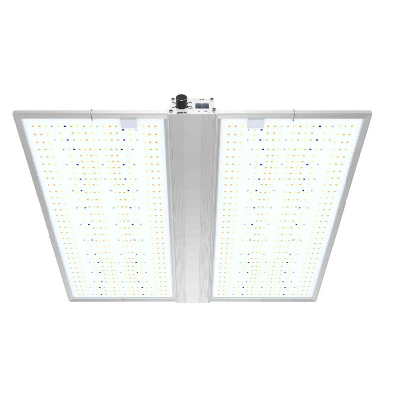 LED BOARD QUANTUM 480W