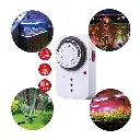 TIMER ANALOGO (copiar)