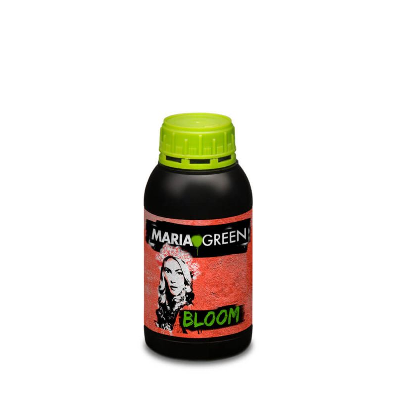 BLOOM MARIA GREEN 500 ML