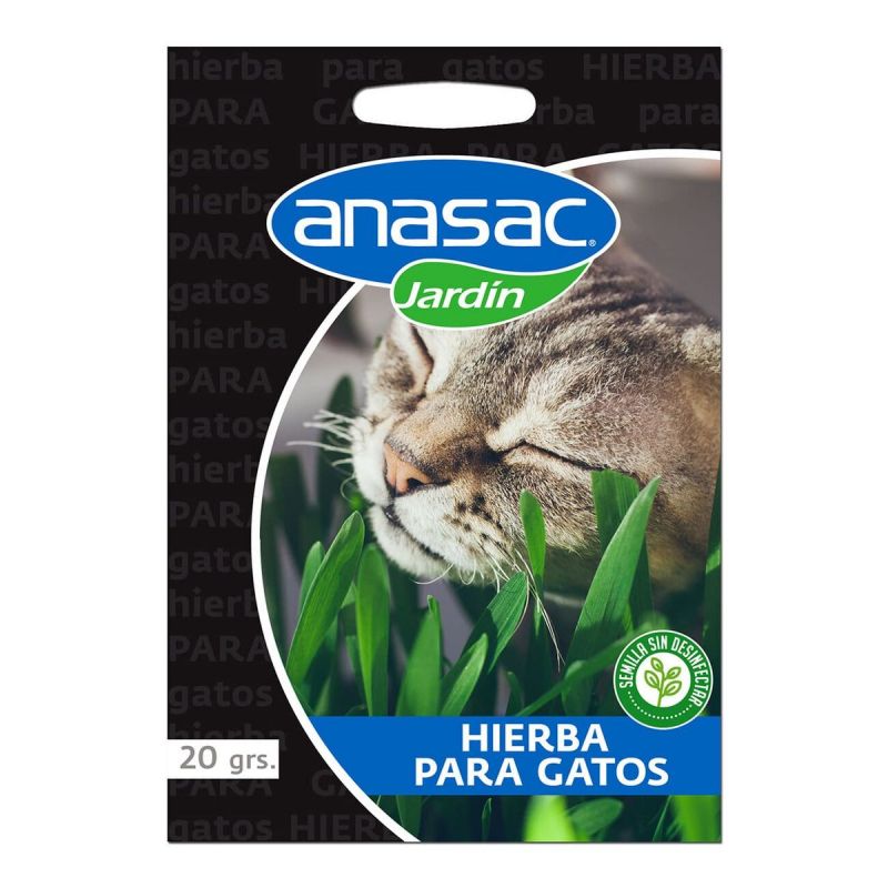 HIERBA DE GATO (20 GR)