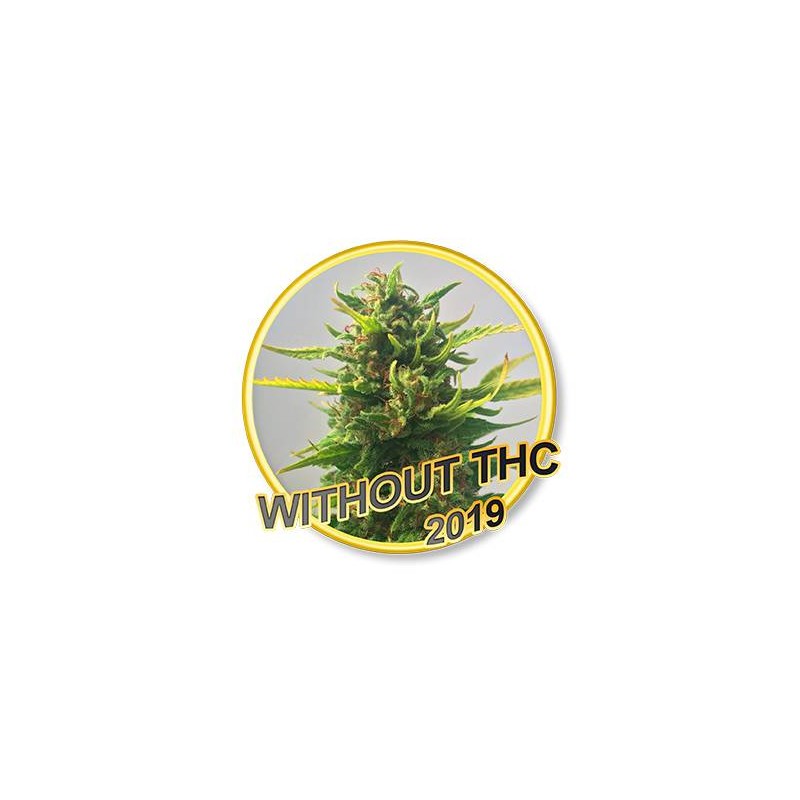 WHITHOUT THC 3 unidades