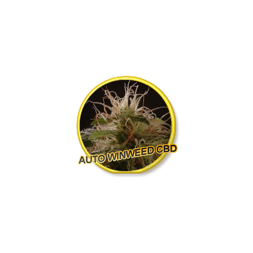 [3713] AUTO WINWEED CBD 3 unidades