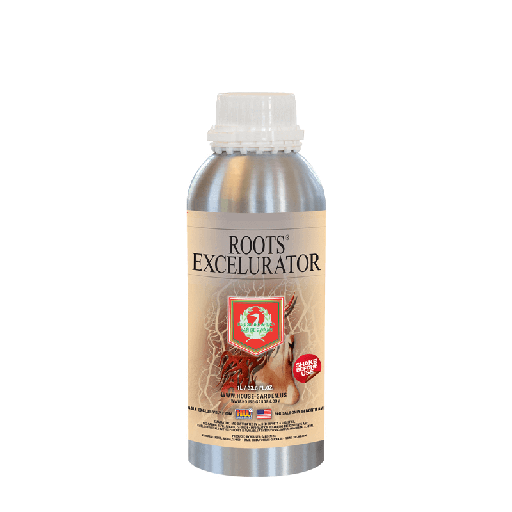 ROOTS SILVER HnG 250 ML